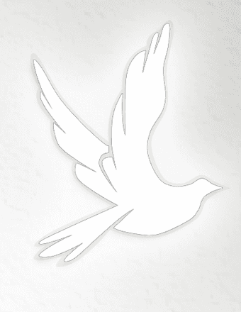 Sharon G. Brammer Obituary